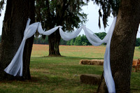 Fabric hanging in tree