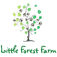 Little Forest Farm